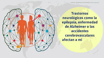 ¿Cuáles son las 3 enfermedades neurológicas?