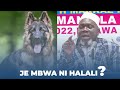 JE NI HALALI KUUZA KUNUNUA AU KUFUGA MBWA KWA MUISLAM SHEIKH MUHARRAM MWAITA JE NI HALALI KUUZA KUNUNUA AU KUFUGA MBWA KWA MUISLAM SHEIKH MUHARRAM MWAITA