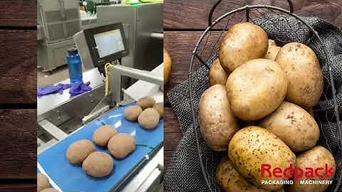 Redpack NTS BM Box Motion Flow Wrapper Packaging Potatoes in Paper | www.ProPac.com
