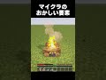 マイクラの変なところ#shorts #マインクラフト #マイクラ