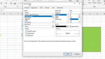 Text Formatting in Excel 2019 in Hindi || By : Hitesh Wadhwa