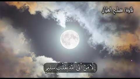 تلاوة / الشيخ مصلح العلياني