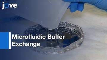 Interference-Free Micro/Nanoparticle Cell Engineering l Protocol Preview