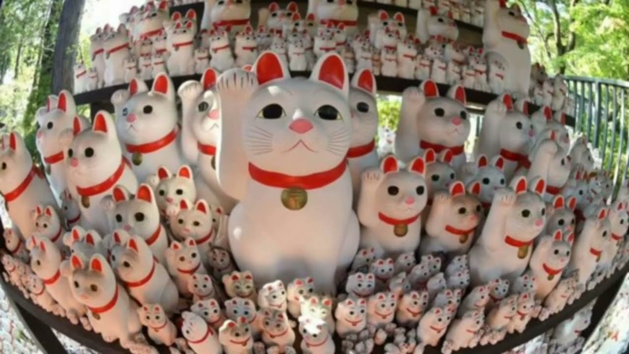 Tempulli i maceve që sjell fat: historia që po pushton internetin