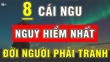 Top 8 Cái Ngu Bạn Cần Tránh để Đạt Được Thành Công | ĐẠO CỔ NHÂN