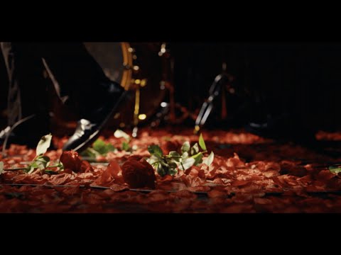 Circa Waves - We Made It (Official Video)