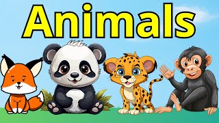 Meet Our Amazing Animal Friends! 🦁🐯🐻