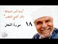 وما أمر الساعة إلا كلمح البصر تفسير الشعراوي لسورة النحل الحلقة 18