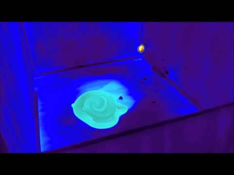 Snake Striking a Target in Thermal Vision