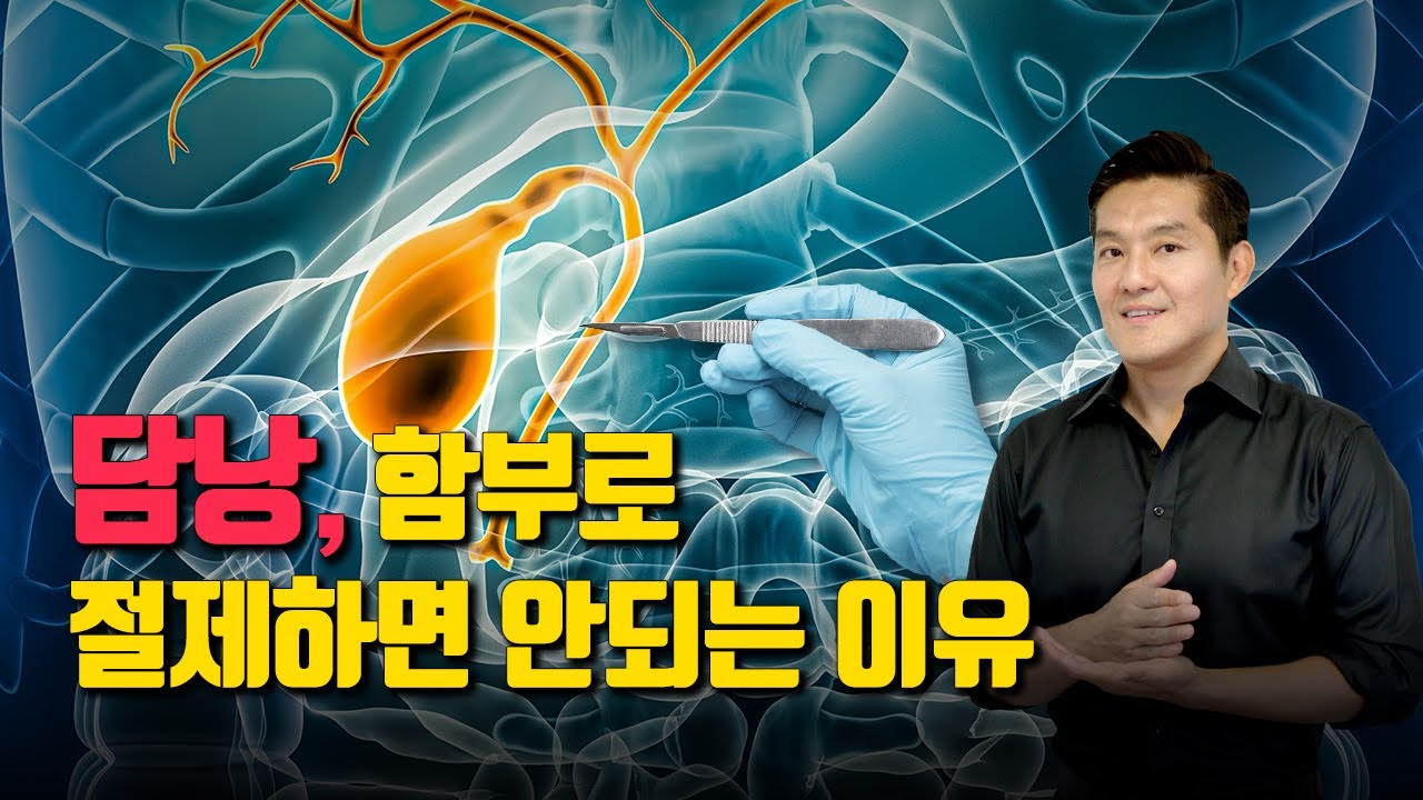 알고 보면 너무 소중한 담낭