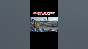 Xử lý nòng nọc 2 ngày tuổi theo quy trình mới( của kỹ sư Việt) #ksviet #nuoiech #nongnoc#nuoiech#