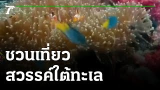 คุณชนะอยากเล่า : ชวนเที่ยวสวรรค์ใต้ทะเลที่หมู่เกาะโลคอล | 12-10-64 | ตะลอนข่าว