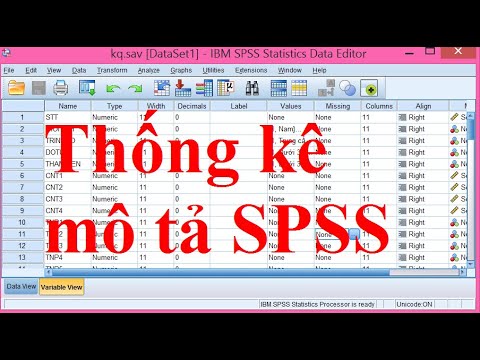 Video: Làm cách nào để tạo bảng mô tả trong SPSS?