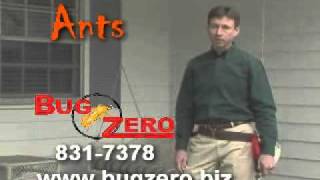 InsectaShield (R)- Ants; Springfield, MO Pest Control