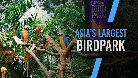 Let’s have a walk at Jurong BirdPark 2021 - FULL  / Nature Park Virtual Tour  - EP04