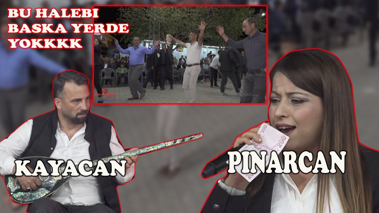 BU UZUN HAVA BU HALEBİ BAŞKA YERDE YOK YEDİGÖZ VIJLI KÖYÜ