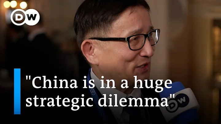 Chinese analyst: Beijing's perspective on the Ukraine war | DW News - DayDayNews