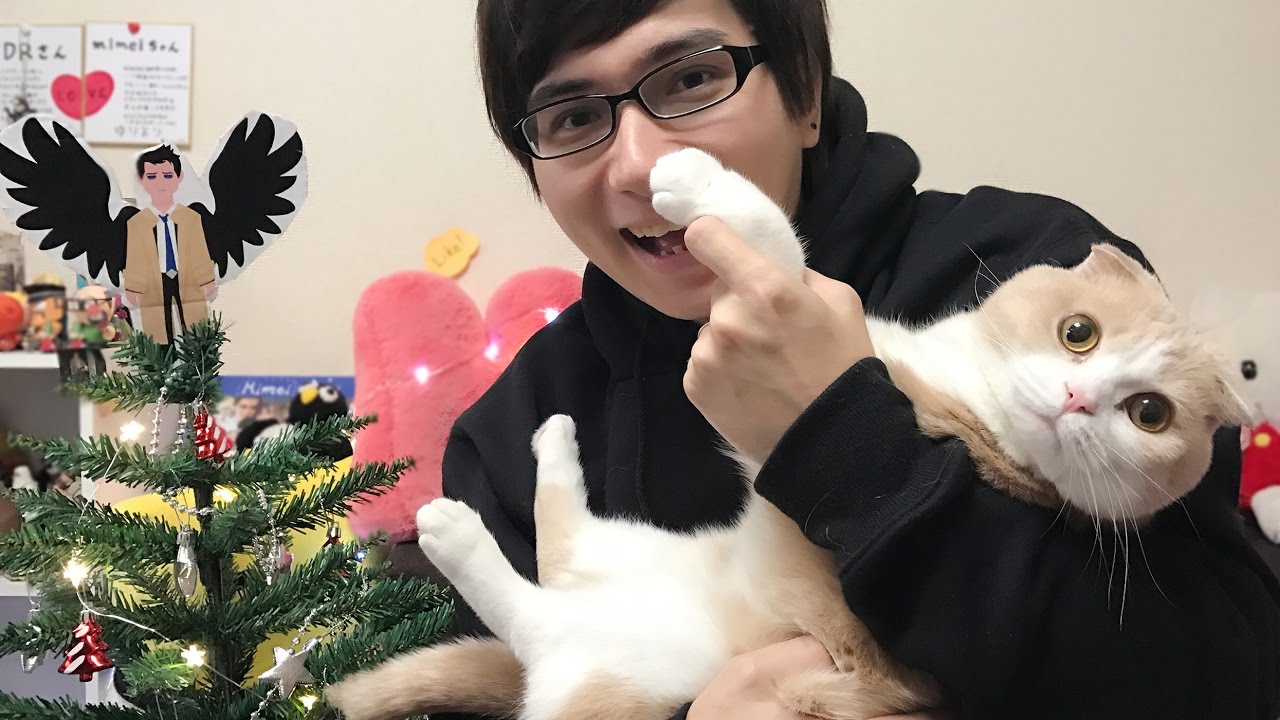 A Very Bacouple Christmas Tree ✨ VLOGMAS DAY 2 - A Very Bacouple Christmas Tree ✨ VLOGMAS DAY 2