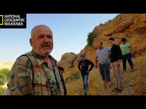 وثائقي صيد الغرير