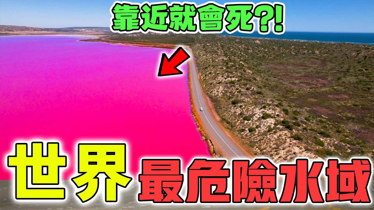 世界最危險的10個水域！掉進去連骨頭都消失，第一名讓方圓30公里的生物全部死亡？|好奇指南針