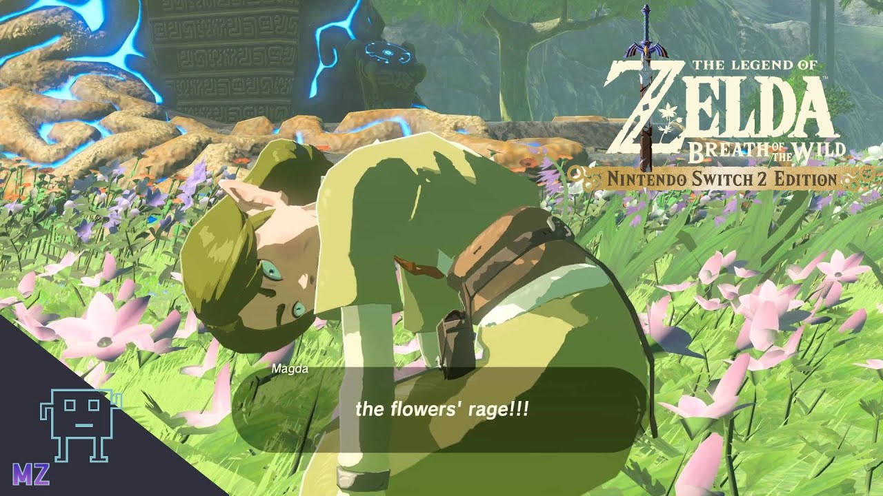 TLoZ Breath of the Wild - Switch 2, Part 5