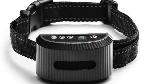 ZapZap - Shock Collar Testing on Human (me)