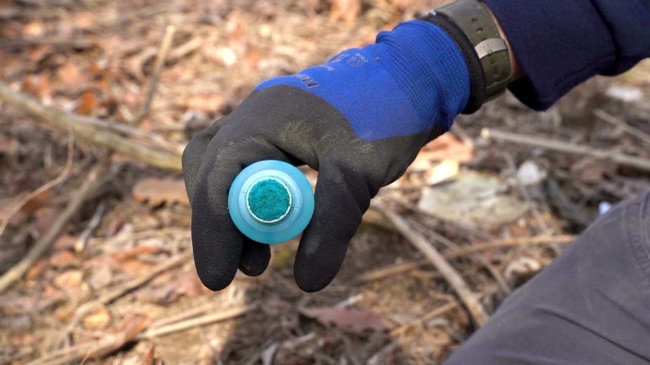 How to Remove Honeysuckle Properly | Cincinnati Parks