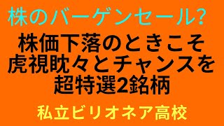 大幅下落が続く中、狙い目の銘柄を見つけ、虎視眈々とバーゲンセールが到来の待ち！いつでも買える準備を！！【株投資】【141-Period】