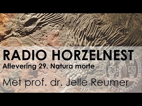 Radio Horzelnest - Aflevering 29: Natura morte