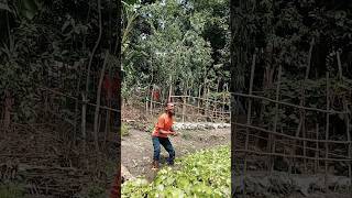 হাসি তো আসবেই।জীবনের আনন্দ ছোট ছোট মূহুর্তে 😎🙌#FunnyVideo  #FunnyMoments #FacebookReels #ViralVideo