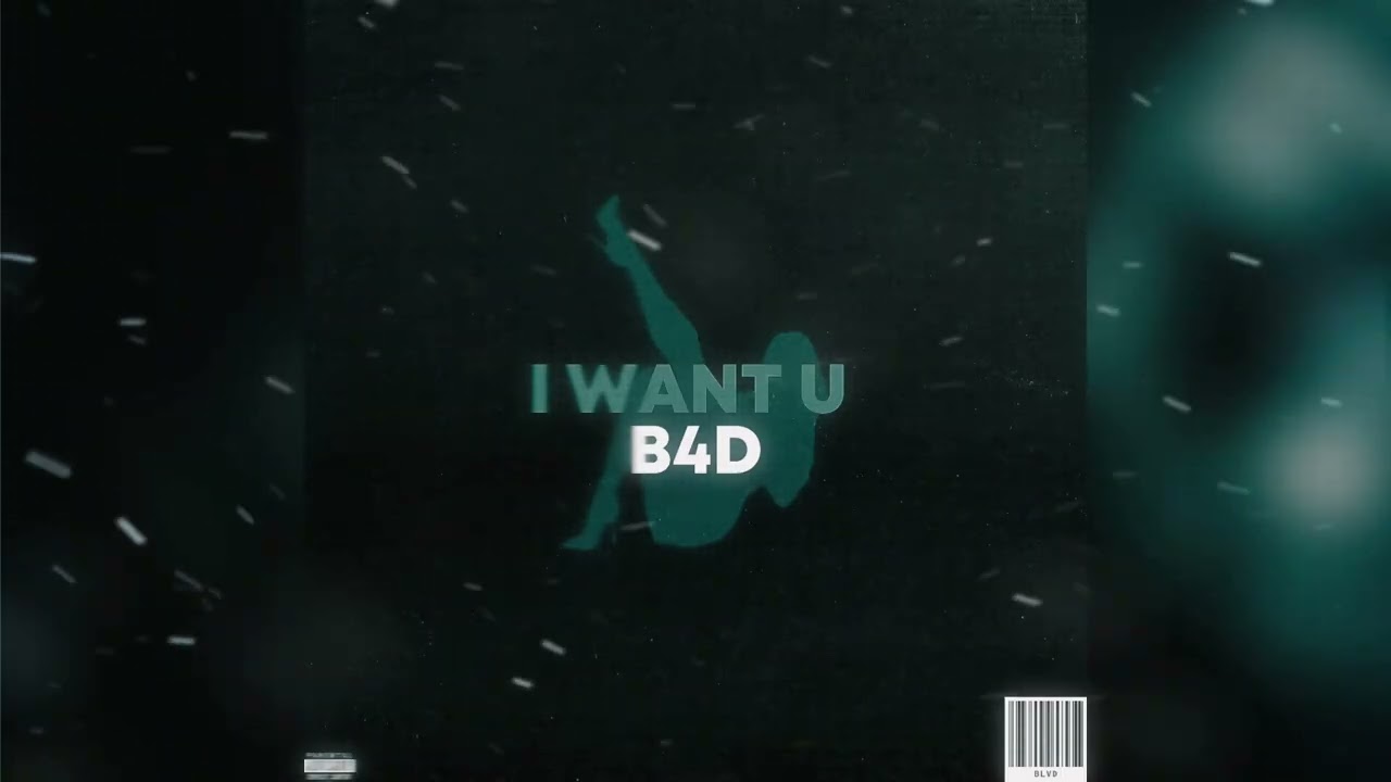 BLVDBRADLEY - I WANT U B4D (Visualizer)