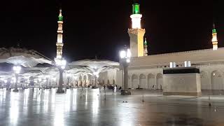 Ravza da Şemsiyeler açılıyor