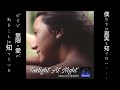 djMAMO - Twilight At Night