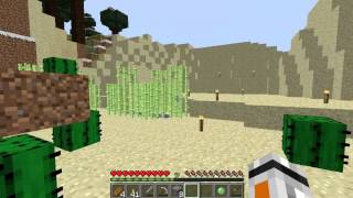 Auscraft Application (Minecraft sever)