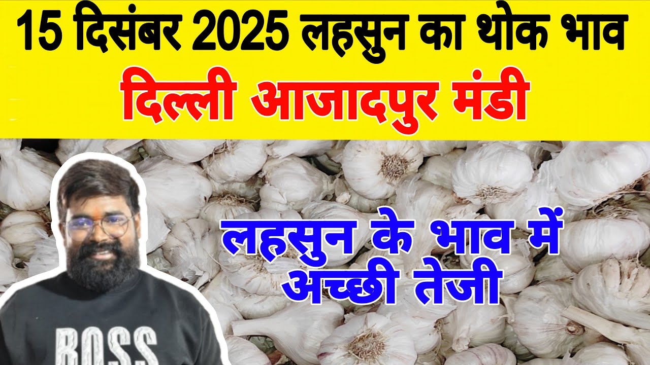15 Dec 25 | Today Garlic Market Price | Garlic Price The Shocking Prediction 