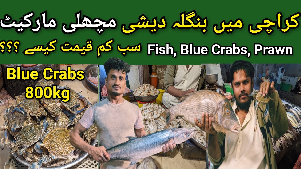 Biggest market of fresh fish 🐠 prawns 🍤 Crabs 🦀,Rates at Bangali Para Karachi  ‪@ExplorWithKhan.
