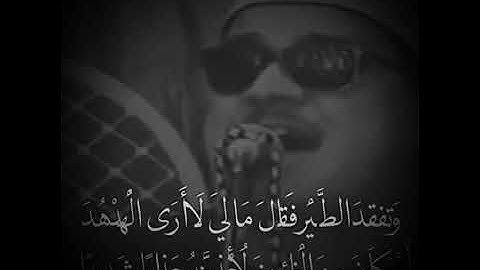 أطول نفس لشيخ ممدوح عامر في سورة النمل