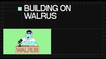 Building on Walrus