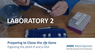 Laboratory 2: Preparing to Clone the rfp Gene: Digesting the pKAN-R and pARA
