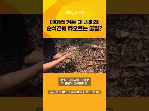에어컨 켜둔 채 공회전…차량 배기구 화재, 실험해 보니 #뉴스7 #화재 #여름