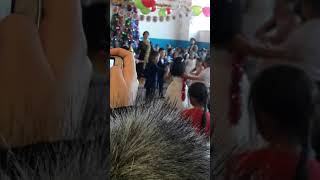 Жана жыл карабау