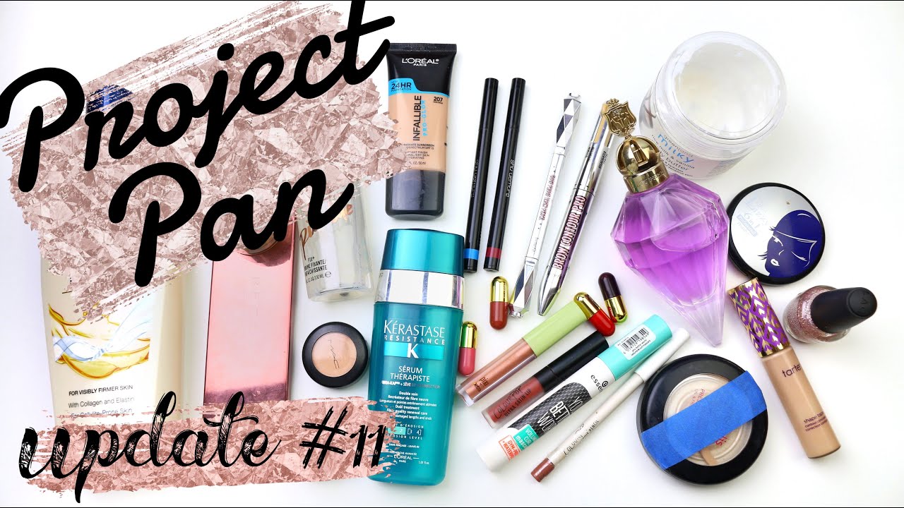 Project Pan 2019 | Update #11