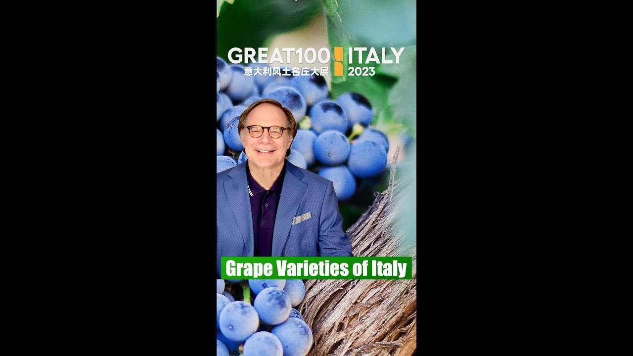 Grape varieties in GREAT100 Italy 2023