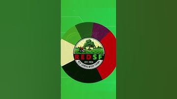 UNIQUE REDSF NFT