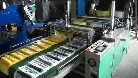 Acerpack Bag Machine - SC2-800VM 2 Track 1 servo+photo cell bottom sealing bag machine Taiwan