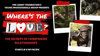 Where’s the love? The secrets of chimpanzee relationships by The Leakey Foundation 745 views 1 year ago 1 hour, 3 minutes