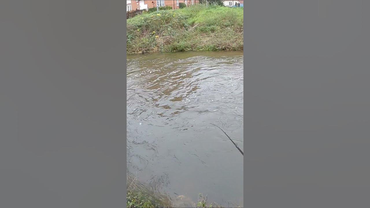 Ginger Fisherman Puts Spintail XL to the test YouTube