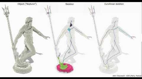 Results of skeletonization algorithm