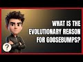 What Is the Evolutionary Reason for Goosebumps?