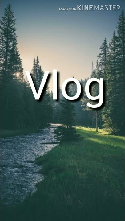 Best Vlog background music ever | Julius Dreisig & Zeus x Crona  - invisible | best ever @trending